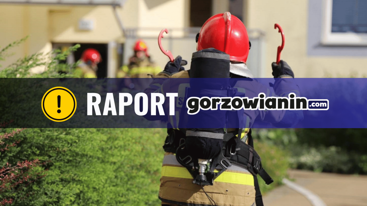 Raport straży pożarnej: Spokojna doba w Gorzowie i powiecie. Dominowały interwencje ze zwierzętami